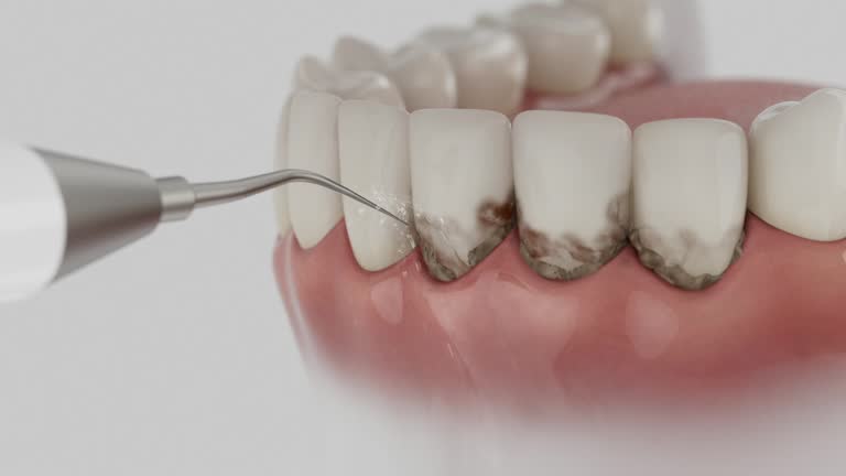 Reliable Dental contractor in Honey Grove, TX by Dentist Open Now